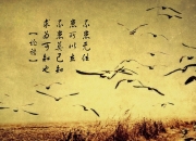 爱游戏入口-维尼修斯闪耀伯纳乌，个人能力撕裂乌克兰防线，马竞战术体系面临新挑战