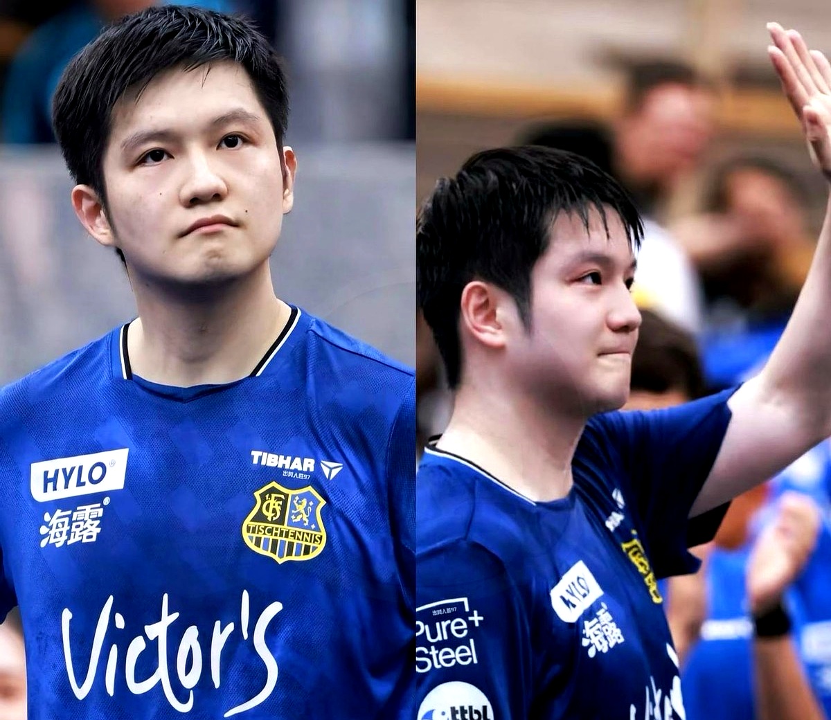 德国队险胜韩国队,樊振东关键制胜 德国队险胜韩国队,樊振东关键制胜