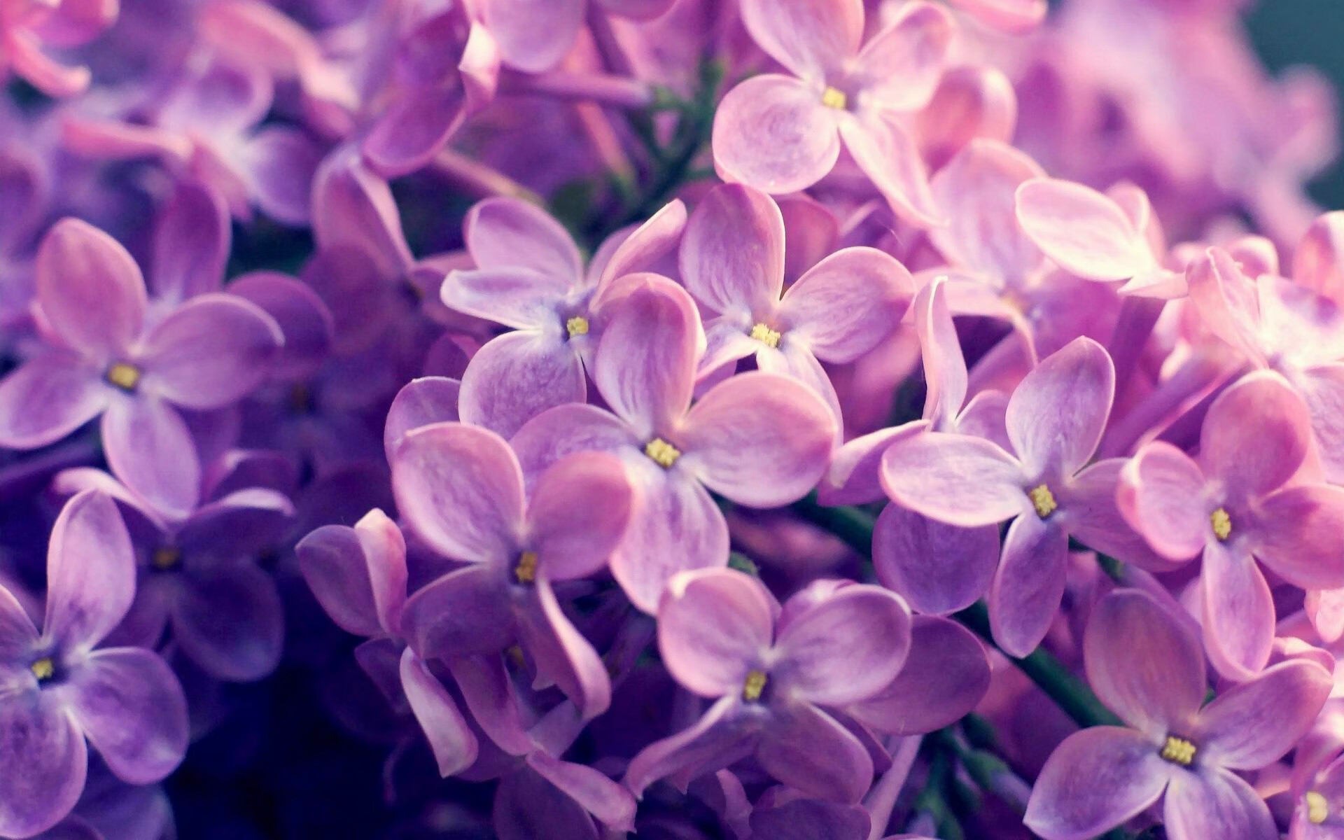 魔术翻盘新疆队，武切维奇状态火热，一场跨越地域的篮球对话