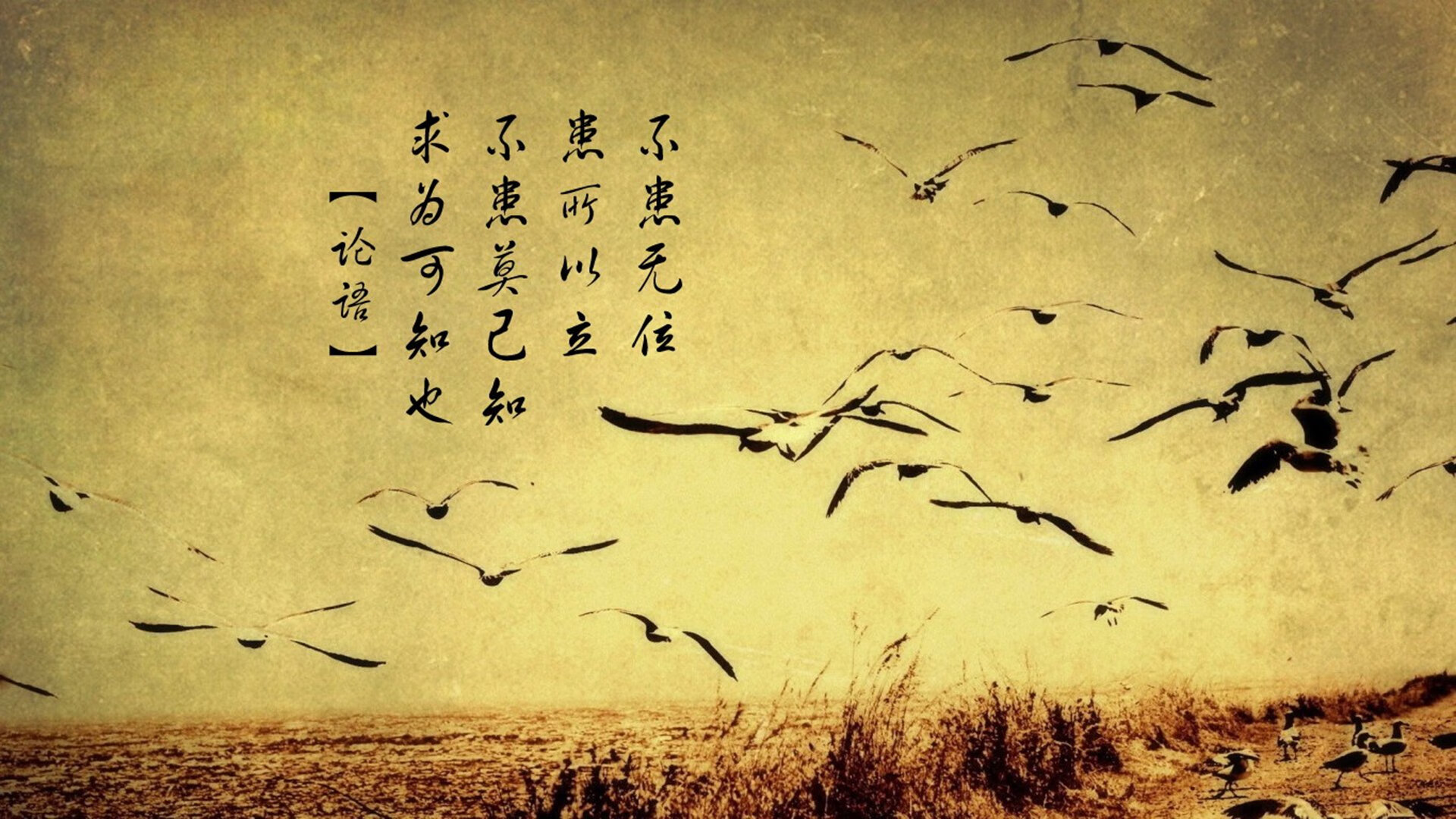 维尼修斯闪耀伯纳乌，个人能力撕裂乌克兰防线，马竞战术体系面临新挑战